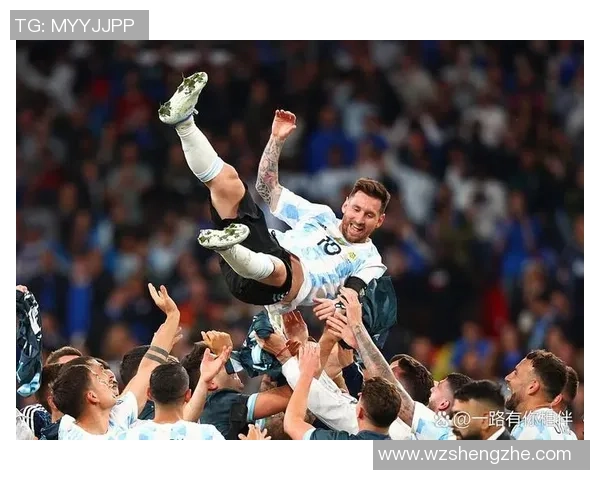 2002年埃及足球明星回顾：记住那一届令人难忘的世界杯英雄