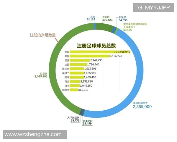 2016年全球足球球星身价排行分析及背后因素解读