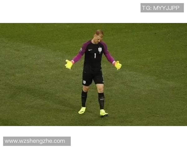 如何购买足球明星卡帕尼尼球星卡及其收藏价值分析