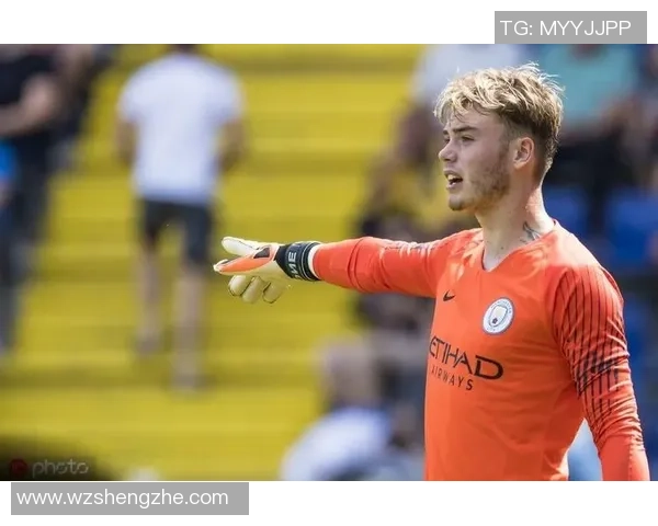 荷兰足球天才崛起之路 从青训到世界舞台的辉煌旅程